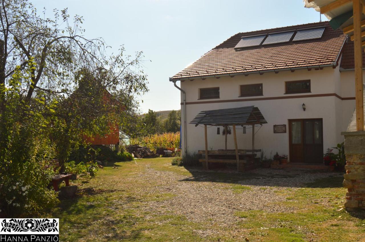 Pensiune Agroturistica Hanna Ocland Exterior photo